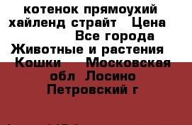 котенок прямоухий  хайленд страйт › Цена ­ 10 000 - Все города Животные и растения » Кошки   . Московская обл.,Лосино-Петровский г.